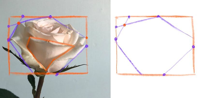 how to draw a rose