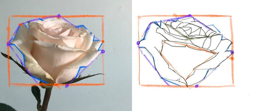 how to draw a rose