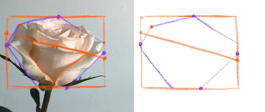 how to draw a rose