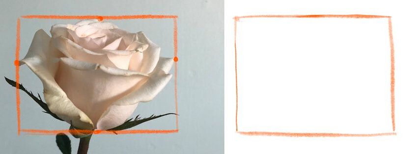how to draw a rose