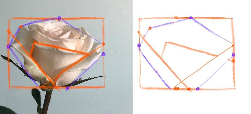 how to draw a rose