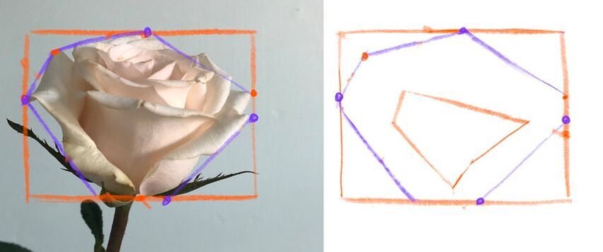 how to draw a rose