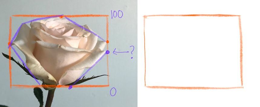 how to draw a rose