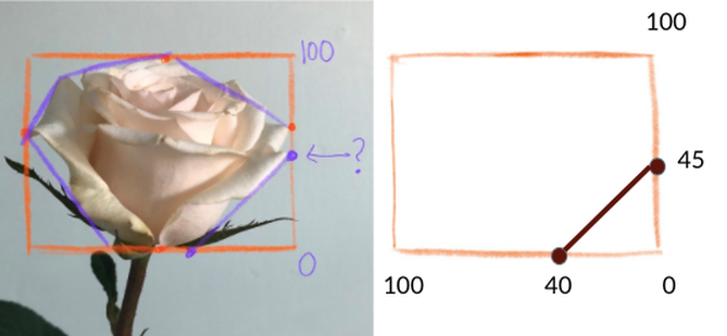 how to draw a rose