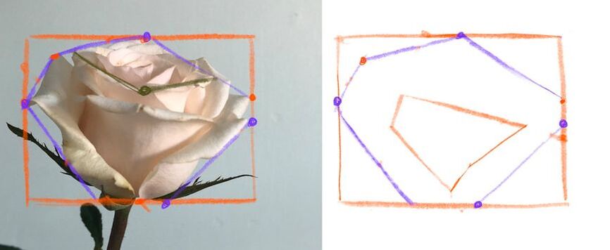 how to draw a rose