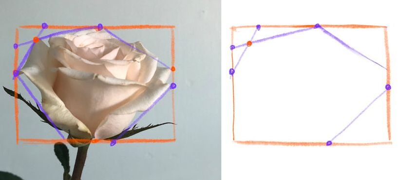how to draw a rose