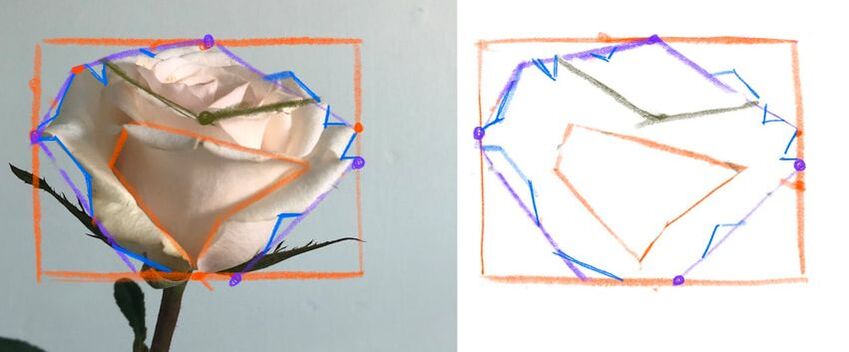 how to draw a rose