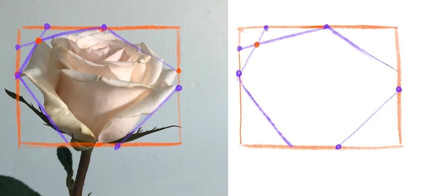how to draw a rose